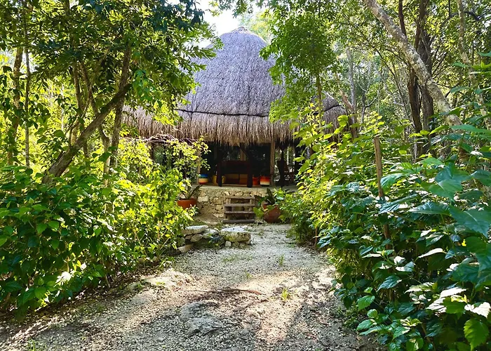 Glamping Bunga Lotus