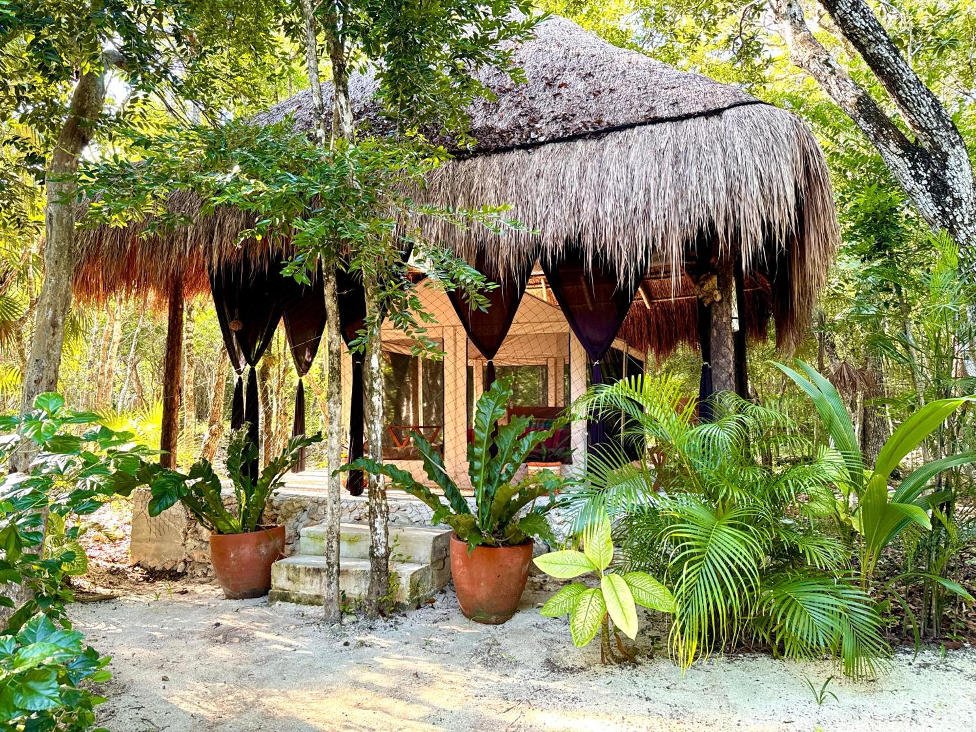 Glamping Bunga Lotus Campsite *