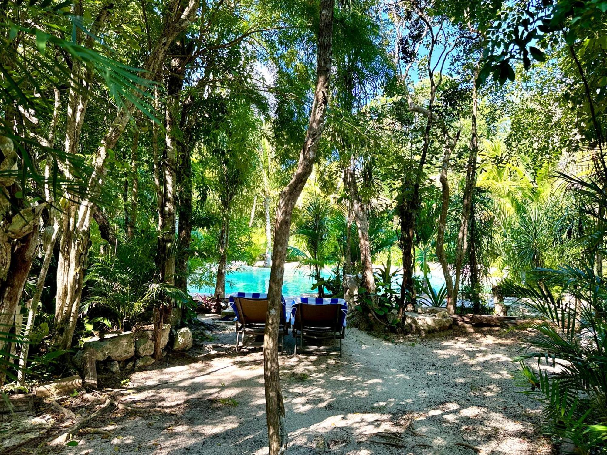 Glamping Bunga Lotus Campsite