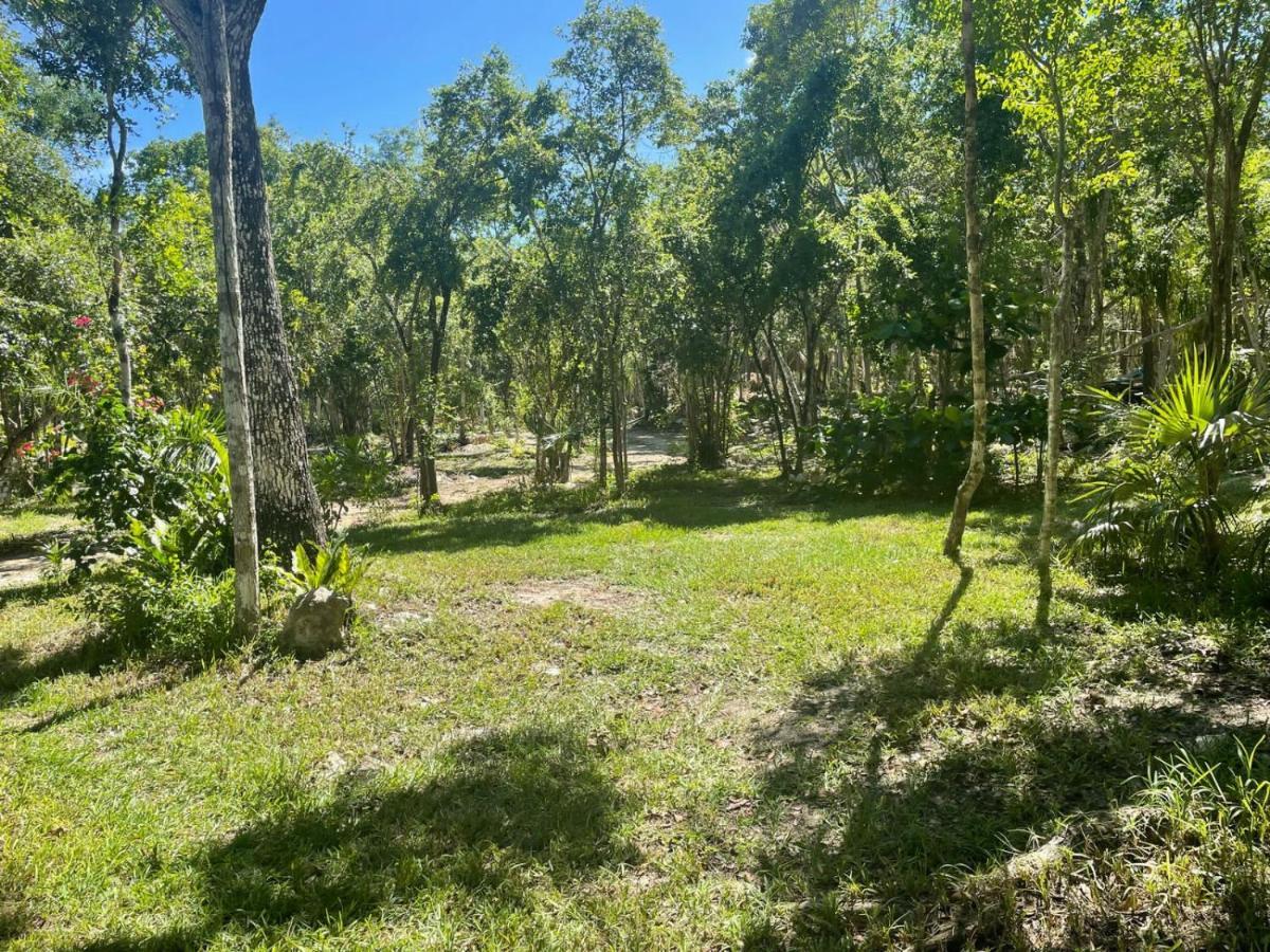 Glamping Bunga Lotus Campsite Tulum